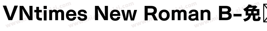 VNtimes New Roman B字体转换